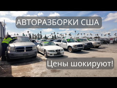 Видео: Нашёл автосвалку мечты? Объехал 3 площадки за день!