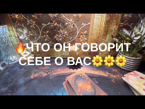 Видео: 13 ноября 2025 г.