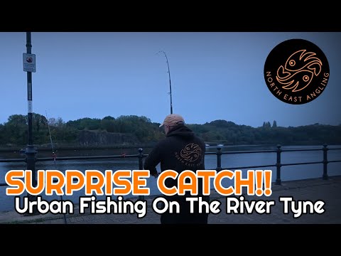 Видео: Вечерняя морская рыбалка на реке Тайн — непрерывный экшн и неожиданный улов!!