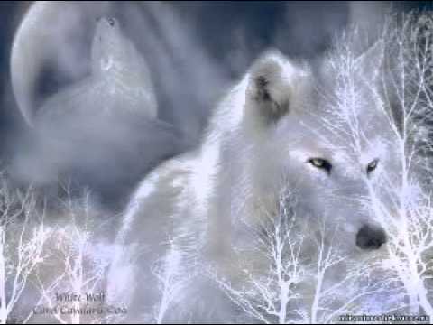 Видео: Game Over - Вълк единак