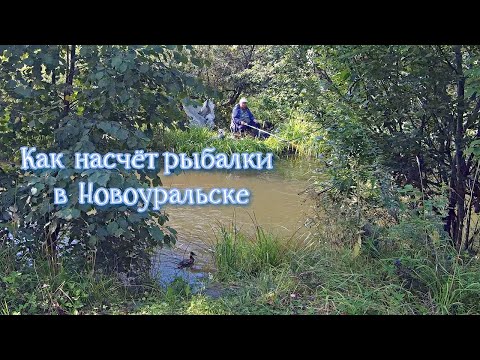 Видео: Как насчёт рыбалки в Новоуральске