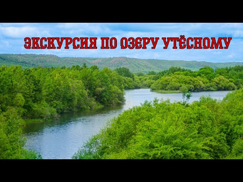 Видео: Экскурсия по озеру Утёсному. Красота природы #природа #экология