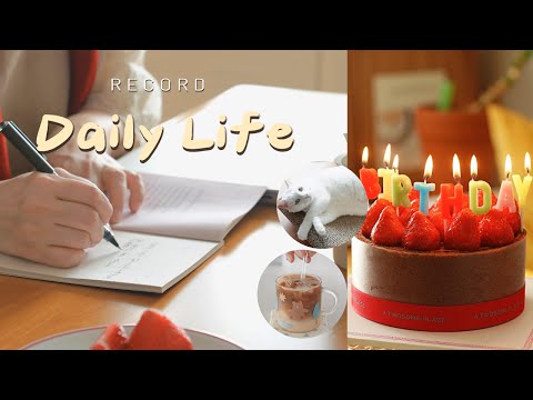 Видео: Весна пришла!ㅣУборкаㅣКофе, капающий вручнуюㅣТоматный салатㅣMacbookㅣШабу-сябуㅣФранцузский тост