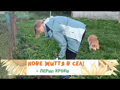 Видео: Як опинилися в селі на Львівщині? Наші городні невдачі та успіхи. Покупка нових рослин