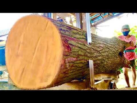 Видео: Это потрясающе! Процесс распиловки больших брёвен красного дерева на толстые доски.