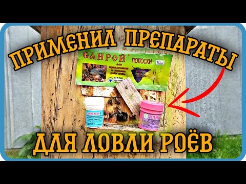 Видео: КУПИЛ ПРЕПАРАТЫ ДЛЯ ПРИВЛЕЧЕНИЯ РОЁВ. ПРОВЕРКА ЛОВУШЕК 2022.⬇️⬇️⬇️