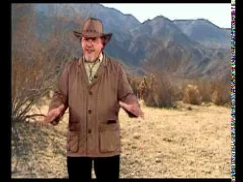 Видео: География 23. Отличие плана от карты. Дерево Джошуа — Академия занимательных наук