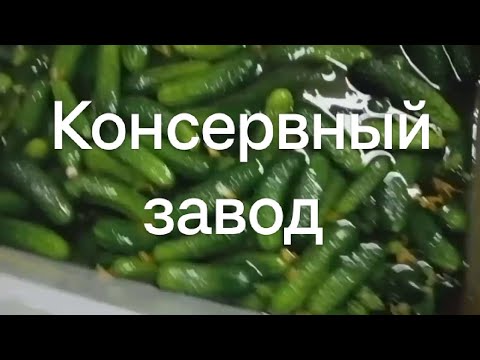 Видео: Консервный завод