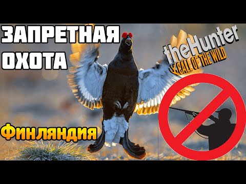 Видео: ЗАПРЕТ на ОХОТУ theHunter Call of the Wild Большой ОБЗОР Revontuli Coast
