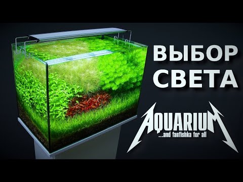 Видео: Выбор освещения для аквариума: советы проФФессионалов!