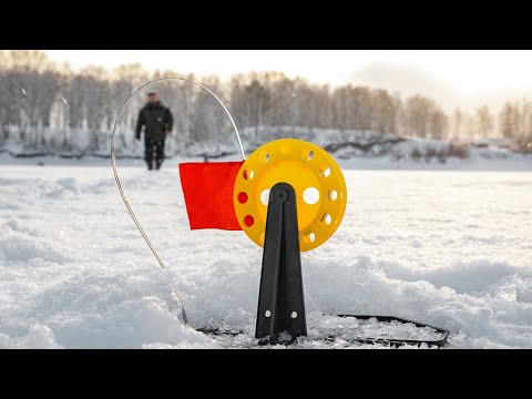 Видео: щедрый первый лёд 2024-2025 щука прёт на жерлицы