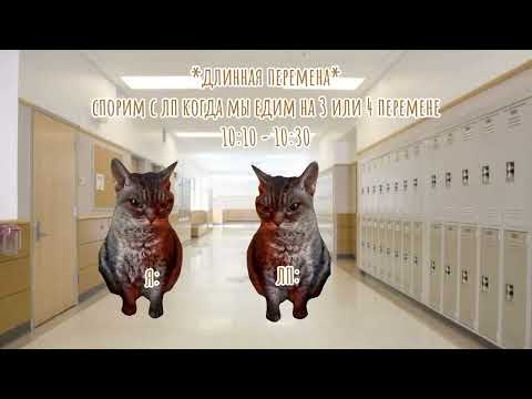 Видео: Мой обычный четверг. Спасибо за 1к подписок :D #мемныекоты #коты