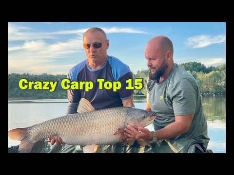 Видео: Рибалка на Уляниках! Crazy Carp Best of 15 Fish! Карпфішинг 2024!