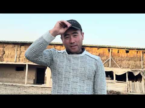 Видео: Ушул видеонун айынан 1 канал облом болду🤦‍♂️