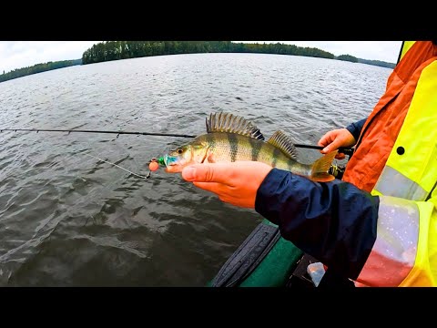 Видео: Екстремальна рибалка під дощем!Щука,судак і окунь + тест нового акумулятора!