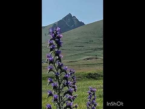 Видео: 1 ноября 2025 г.