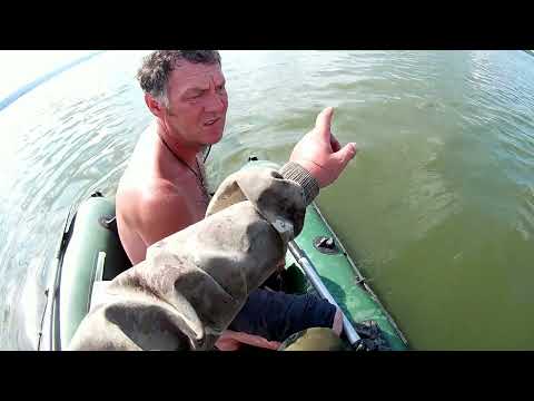 Видео: Сурское водохранилище: Проверяем и снимаем переметы.