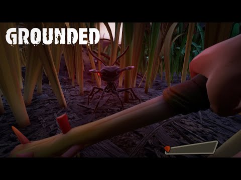 Видео: МАЛЕНЬКИЕ МУРАВЬИ УЖЕ НЕ МАЛЕНЬКИЕ!!! - НАЧИНАЕМ НОВОЕ ВЫЖИВАНИЕ В GROUNDED