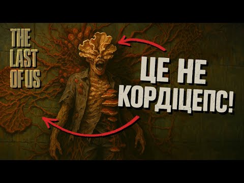 Видео: Чи можуть гриби влаштувати The last of us