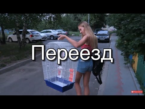 Видео: VLOG: ПЕРЕЕЗЖАЕМ С МАШЕЙ В КИЕВ! КАК ПЕРЕВЕЗТИ ПОПУГАЕВ?