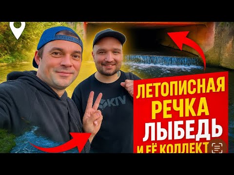 Видео: Долиною річки Либідь з Кирило Степанцем