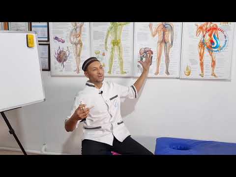 Видео: ҰЙҚЫНЫҢ БАУЫР, ӨТ, ОСТЕОХОНДРОЗ, ҚАНТҚА,  АРТЫҚ САЛМАҚҚА ӘСЕРІ!