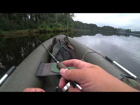 Видео: ловля щуки на дорожку. Озеро Длинное.