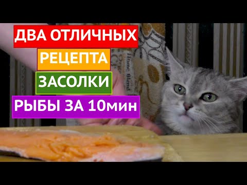 Видео: ДВА СПОСОБА ЗАСОЛКИ РЫБЫ К НОВОГОДНЕМУ СТОЛУ!!