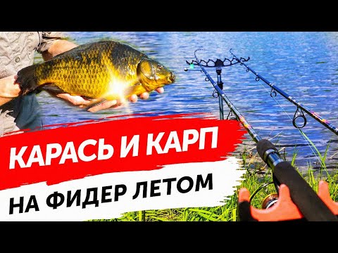 Видео: ЛОВЛЯ КАРАСЯ И КАРПА НА ФИДЕР !!! РЫБАЛКА НА ФИДЕР ЛЕТОМ ! ОСИПОВИЧСКОЕ ВОДОХРАНИЛИЩЕ ! БЕШЕНЫЙ КЛЁВ