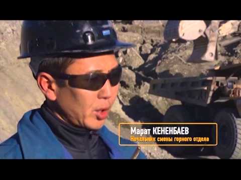 Видео: Экскаваторы