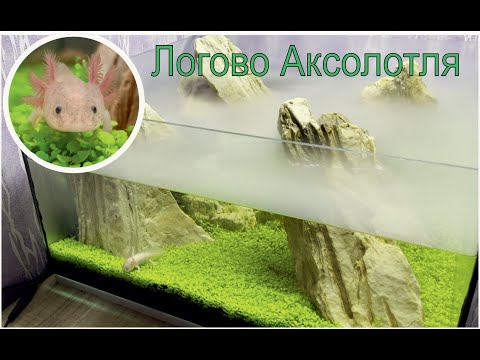 Видео: Аквариум, Логово Аксолотля! Акваскейп. Axolotl  #Аквариум #Аксолотль