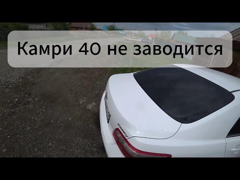 Видео: КЛИЕНТ НЕ ПОВЕРИЛ В ДИАГНОЗ