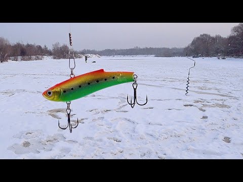 Видео: СУДАК НА ВИБЫ ЗИМОЙ! Опустил на глубину и удары! Ловля судака со льда! Зимняя рыбалка 2023 - 2024!