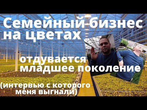 Видео: Цветочный бизнес.На чём больше прилипает,а от каких культур лучше отказаться