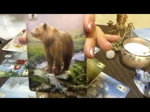 Видео: Какие перемены спешат в вашу жизнь? 🌈🔥🎊🪅🥰😇🌞🤗