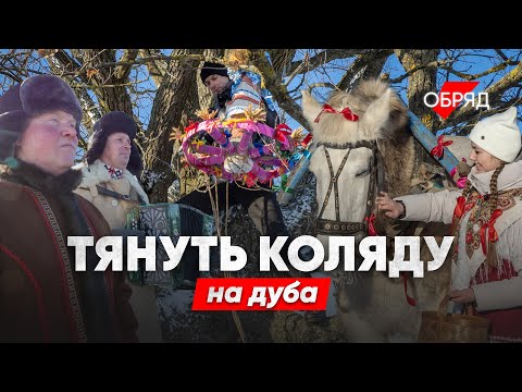 Видео: Что такое эта ваша Коляда?