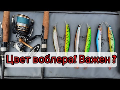 Видео: Важен ли цвет воблера? Ловля щуки в конце сентября на воблеры!