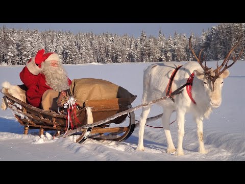 Видео: Деревня Санта-Клауса 🎅 Лапландия - Рованиеми Финляндия