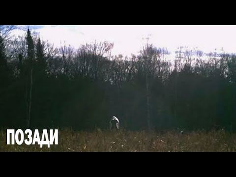 Видео: ОТКУДА ВЗЯЛАСЬ НЕЧИСТЬ. Страшные. Мистические. Творческие истории. Хоррор