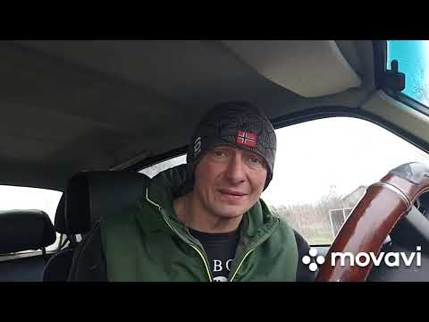 Видео: Вас везут в лес? Лайфхак,как избежать наказания...
