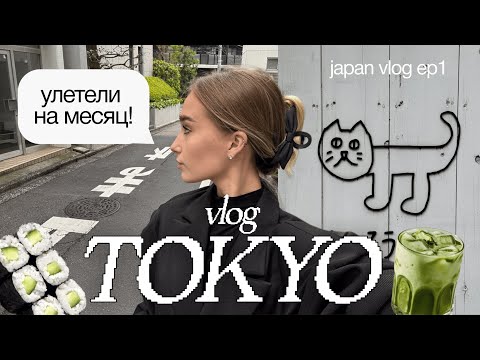 Видео: VLOG Япония 🇯🇵 улетела на целый месяц | VLOG ТОКИО