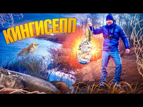 Видео: Плотва разрывает все стереотипы, бешенный клёв. Кингисепп, река Луга