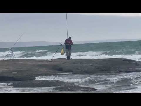 Видео: Кызыл Озен 12 11 22