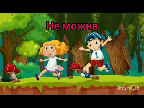 Видео: ОБЖД. Безпечна поведінка в лісі