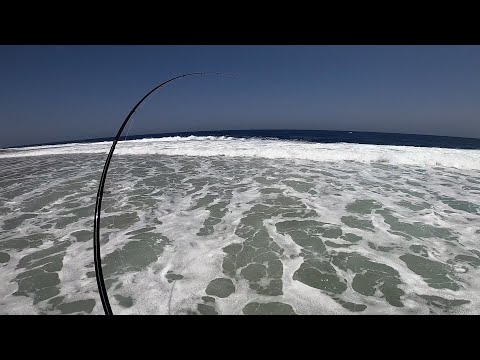Видео: Рыбалка в Египте! Рыбалка с берега в ШТОРМ, ОГРОМНАЯ рыба на крючке. Red Sea Shore Fishing