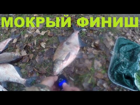 Видео: Мокрый Финиш.