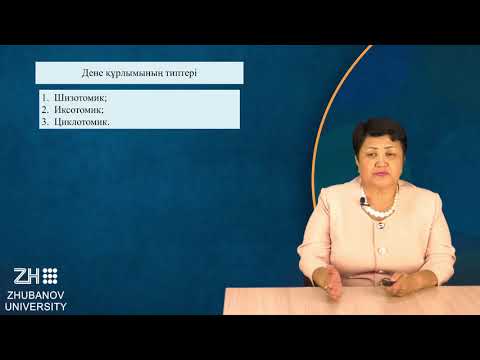 Видео: Темперамент