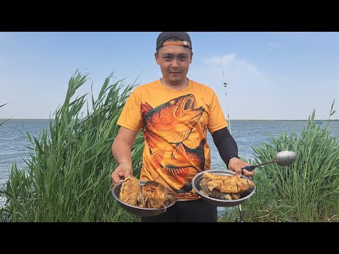 Видео: Балық аулау. Балықшлар демалысы Өсек көлі