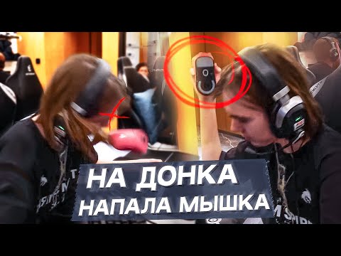 Видео: ДОНК РАЗБИЛ МЫШКУ, НО ОНА ДАЛА ЕМУ СДАЧИ! ОБЗОР ШАНХАЙ РМР МАЖОРА
