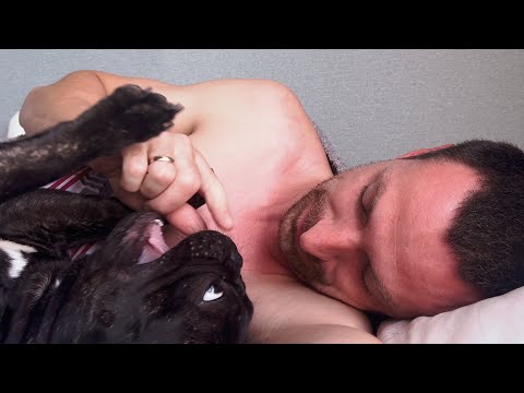 Видео: Часть 23. Егор встретил матерого кота. Получили посылку из Нью-Йорка